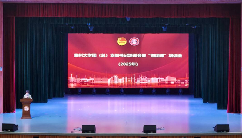 贵州大学2025年团（总）支部...